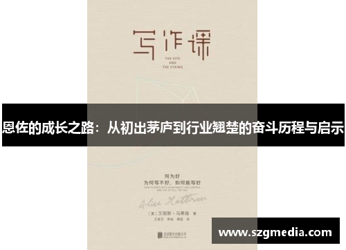 恩佐的成长之路：从初出茅庐到行业翘楚的奋斗历程与启示